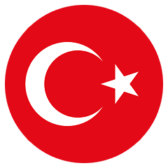 Сборная Турции на Евро 2024
